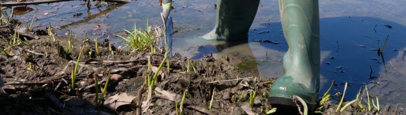 The Watershed Warriors Initiative